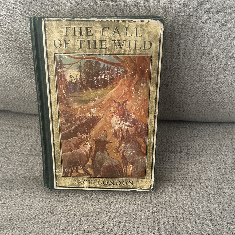 Vintage 1914 The Call of the Wild' Book by Jack London great illustrations